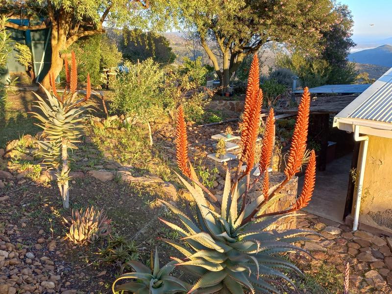 4 Bedroom Property for Sale in Piketberg Rural Western Cape